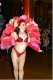 Hot Pink Feathers 4.jpg