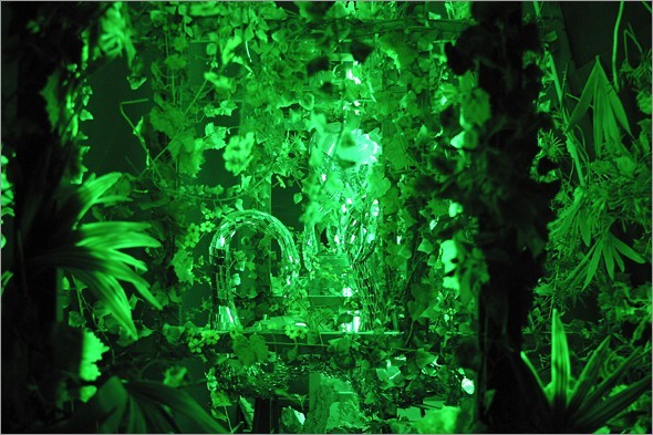 Paradise Detail.jpg