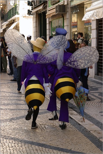 Bees Back.jpg