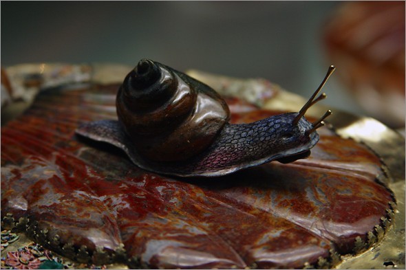 Snail.jpg