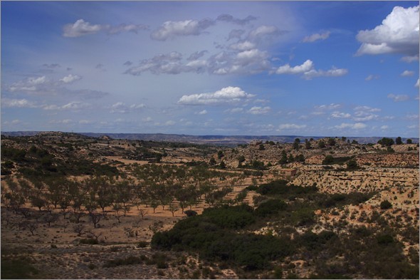 Train to Madrid 3.jpg