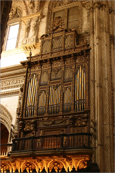 Organ 1.JPG
