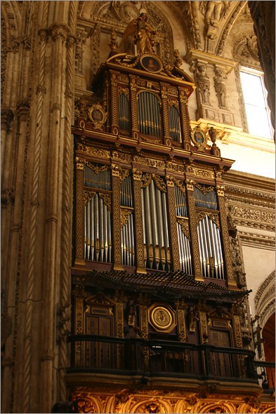 Organ 2.JPG
