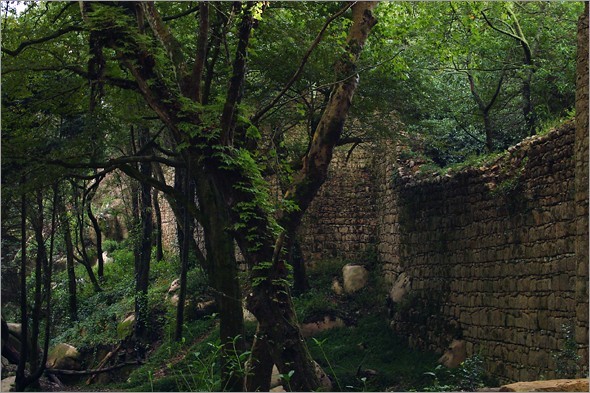 Exterior Wall.jpg