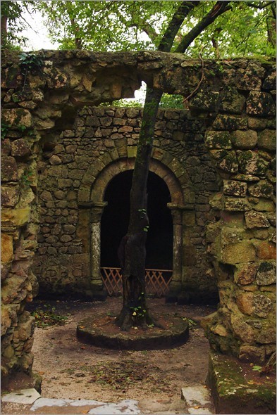 Tree in Chapel.jpg
