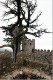 Tree on Tower.jpg