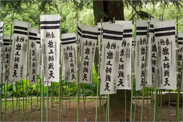 flags_on_island.jpg