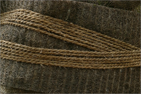bound_tree_detail.jpg