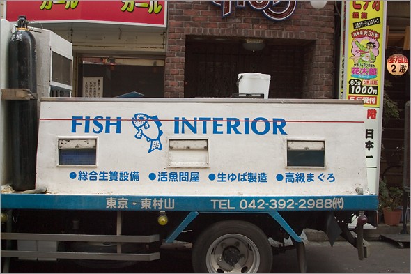 Fish Interior.jpg