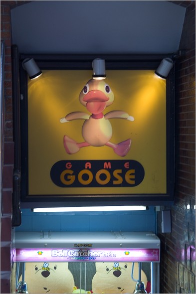 Game Goose.jpg